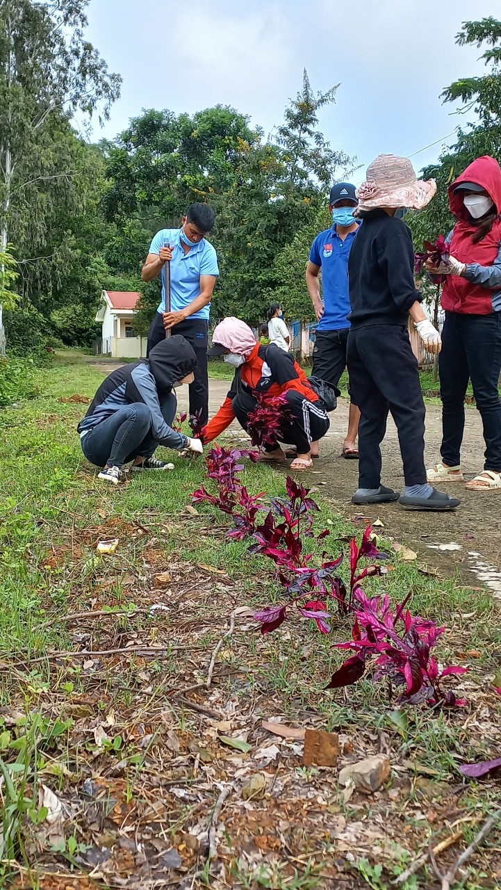 MỘT CÔNG TRÌNH MANG TÊN “CON ĐƯỜNG HOA”